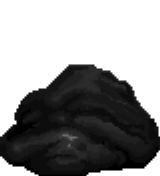 File:GREYPUDDING FRONT.png