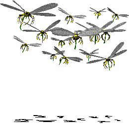 File:Swarm-toward.png