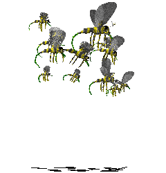 File:Swarm-right.png