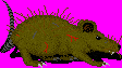 File:Rat side.png