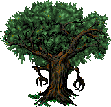 File:ENT BACK.png