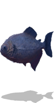 File:Pirahna-left.png