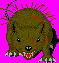 File:Rat front.png