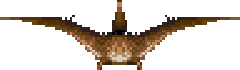 File:TERABIRD BACK.png