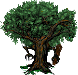 File:ENT CLUB BACK.png
