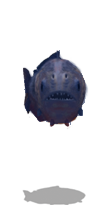 File:Pirahna-toward.png