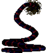 File:SPIRITNAGA BACK.png