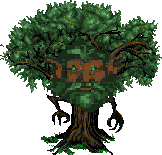 File:ENT FRONT.png