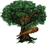 File:ENT CLUB SIDE2.png