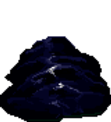 File:SLITHERMORPH FRONT.png