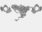 File:Smoke wraith.png