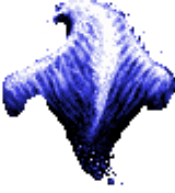 File:WATERELEMENTAL BACK.png