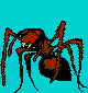File:Red ant.png