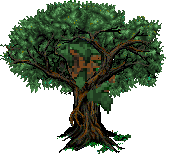 File:ENT SIDE2.png