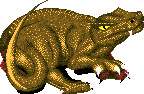 File:BABYSANDDRAGON SIDE.png