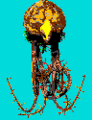 Thumbnail for version as of 06:33, 13 August 2008