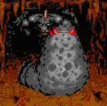 Thumbnail for version as of 11:51, 14 October 2015